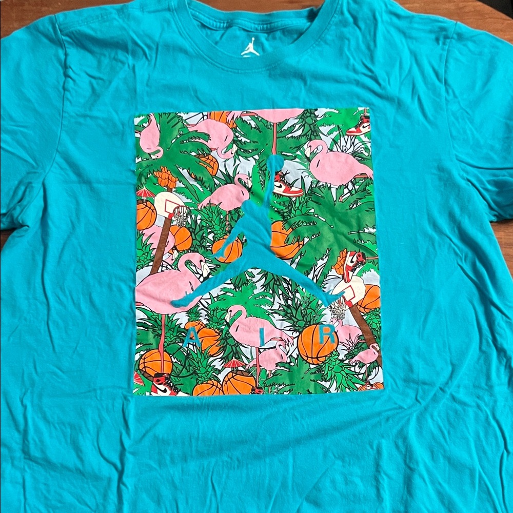 Jordan Teal T-Shirt with Iconic Logo